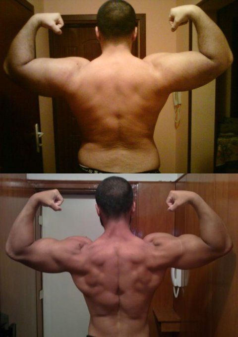 A-HD ELITE - Testosterone Booster & Estrogen Management - : complément alimentaire 100% VEGETAL, HAR