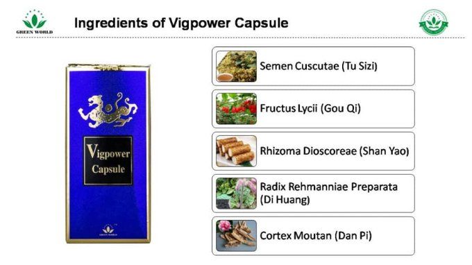 VIGPOWER PURE HERBAL LIBIDO AND PERFORMANCE FORMULATION FOR MEN : lot 2 caps veg BLUE 